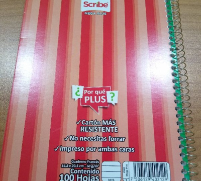 CUADERNO FF. ESP RAYA 100HJS 4540