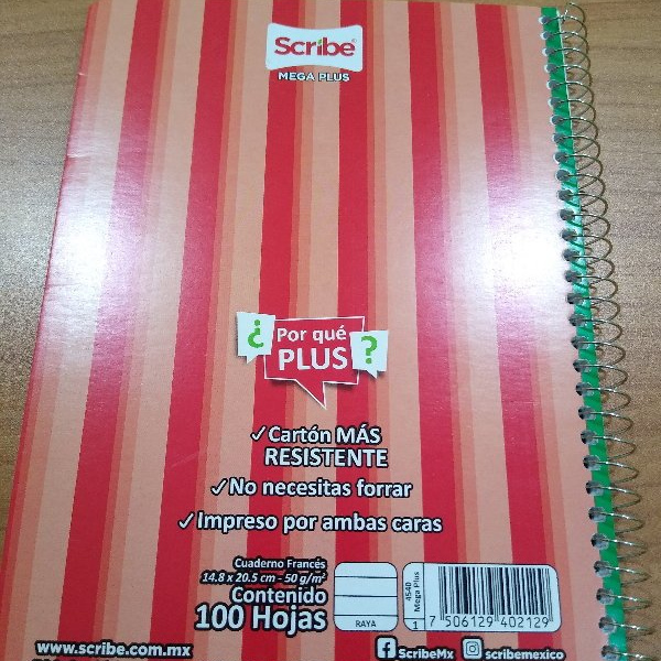 CUADERNO FF. ESP RAYA 100HJS 4540