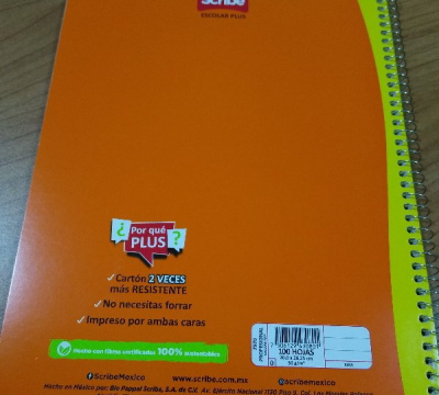 CUADERNO PROF. ESP. RAYA 100HJS 7970