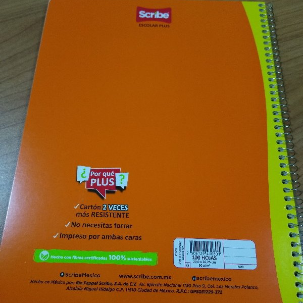 CUADERNO PROF. ESP. RAYA 100HJS 7970