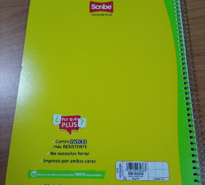 CUADERNO PROF. ESP. C/7 100HJS 7973